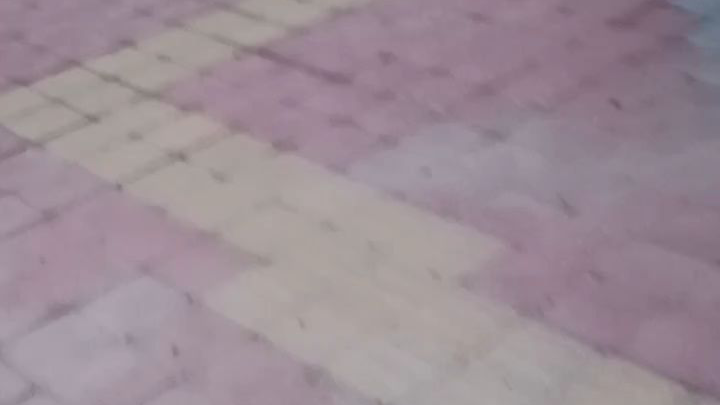 建议改成:盲 道 艺 术